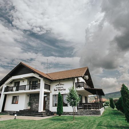 Pensiunea Conacul Lui Horia Bistrita  Luaran gambar