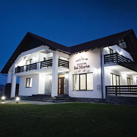 Pensiunea Conacul Lui Horia Bistrita  Luaran gambar