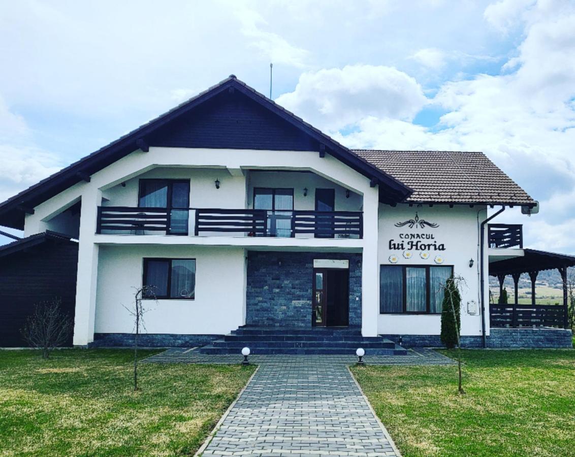 Pensiunea Conacul Lui Horia Bistrita  Luaran gambar